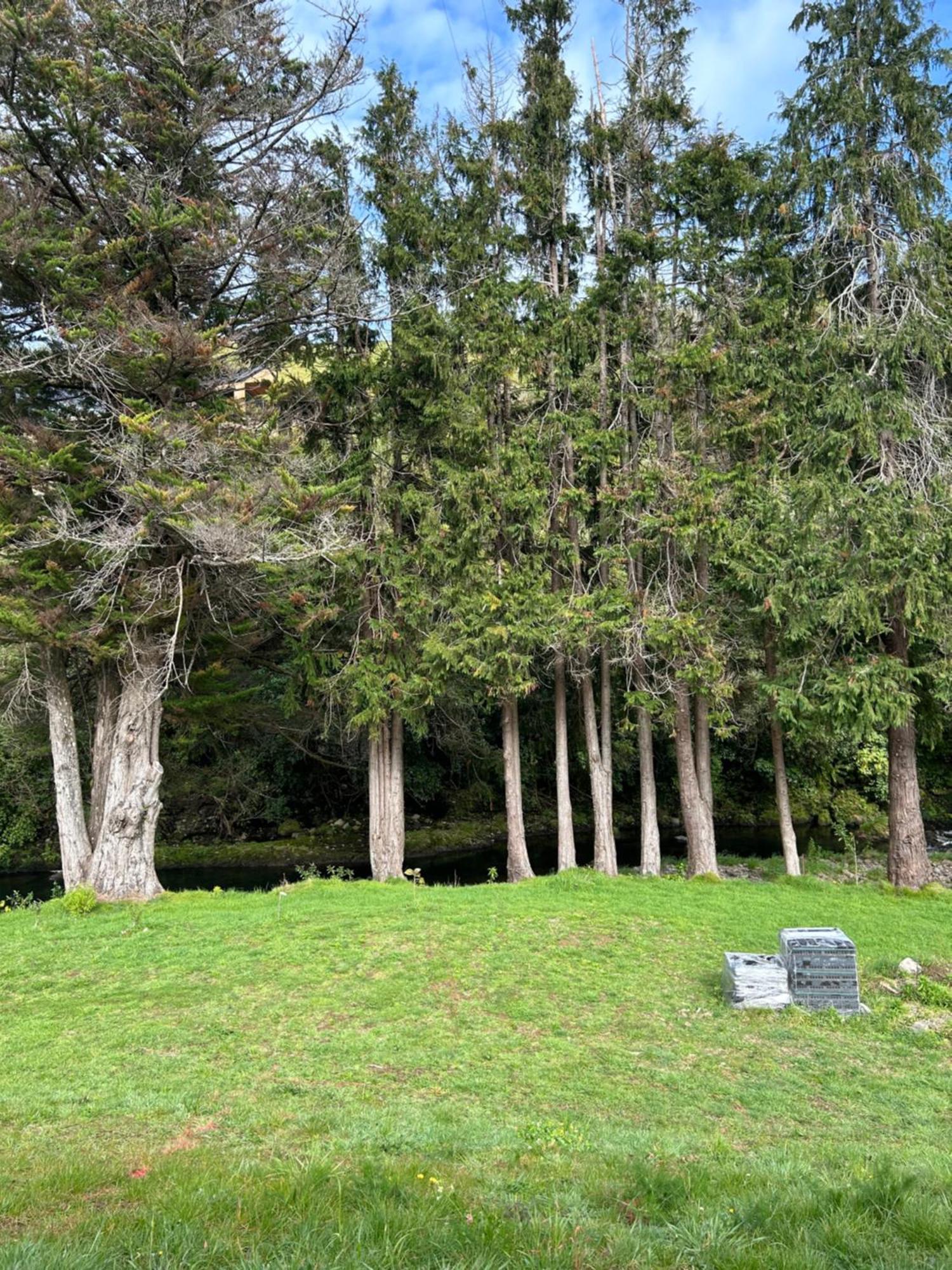 Almost Heaven Bnb Bed & Breakfast New Plymouth Exterior photo